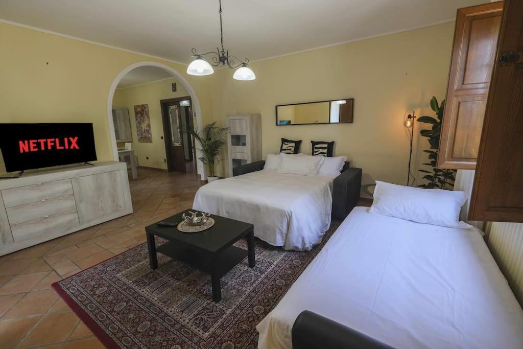 Villa Luxury Pool & Garden Pisa Dış mekan fotoğraf